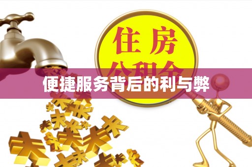 徐闻便捷服务背后的利与弊