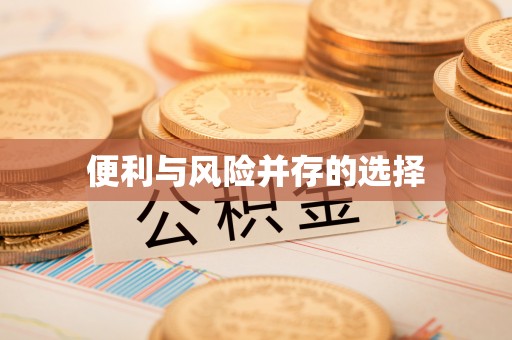 徐闻便利与风险并存的选择