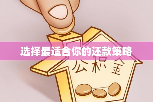 徐闻选择最适合你的还款策略
