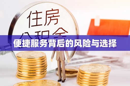 徐闻便捷服务背后的风险与选择
