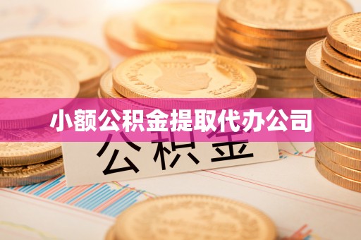 徐闻小额公积金提取代办公司