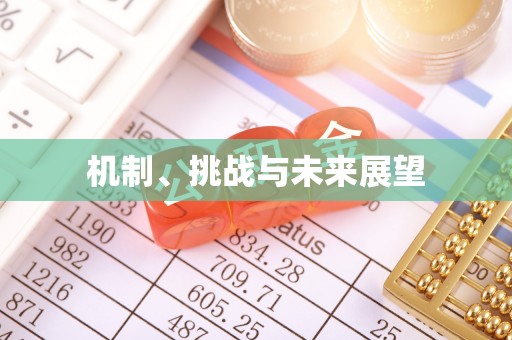 徐闻机制、挑战与未来展望