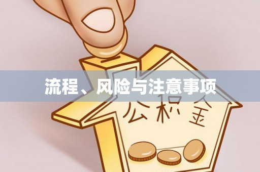 徐闻流程、风险与注意事项