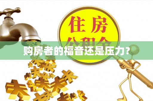 徐闻购房者的福音还是压力？