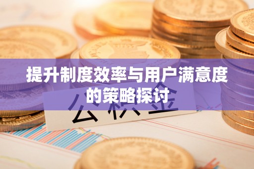 徐闻提升制度效率与用户满意度的策略探讨