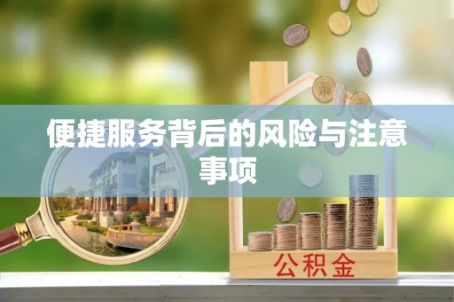 徐闻便捷服务背后的风险与注意事项