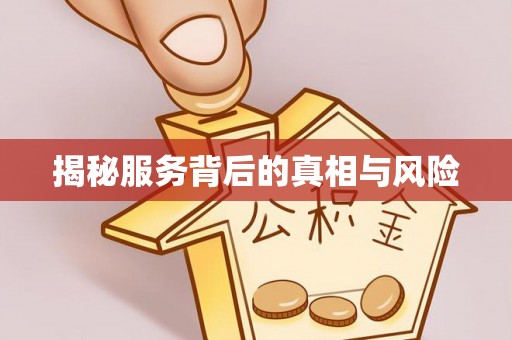 徐闻揭秘服务背后的真相与风险