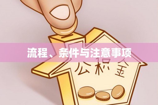 徐闻流程、条件与注意事项